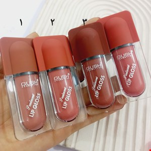 رژ مایع گاش